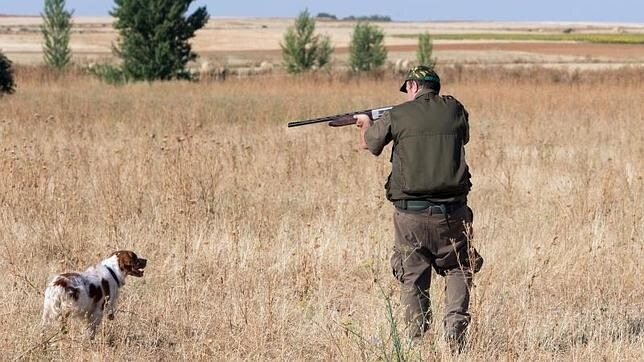 Un cazador apunta con su escopeta a una presa