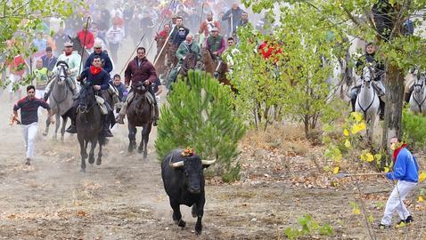 El presidente de Castilla y León aboga por eliminar «algunos excesos» del Toro de la Vega