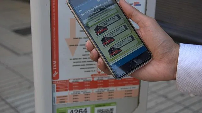 Un usuario consulta la nueva aplicación móvil Alicante Bus