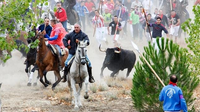 Así recogió la prensa internacional la fiesta del Toro de la Vega