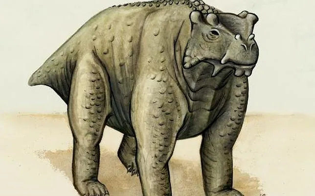 El Bunostegos, la primera criatura que se puso en pie a cuatro patas