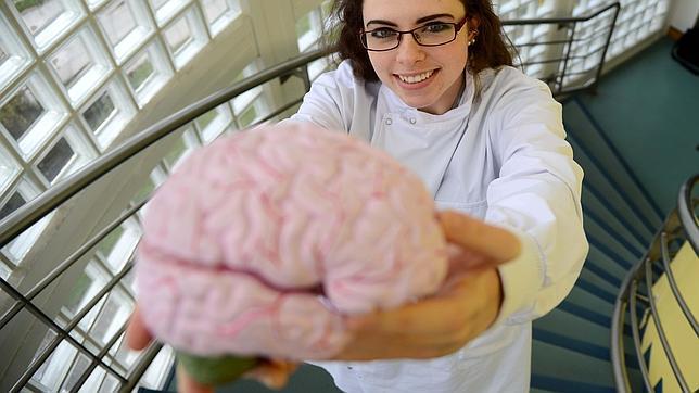 Descubren como eliminar del cerebro una proteína asociada con el alzhéimer