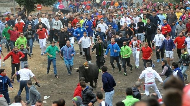 Juristas taurinos proponen denunciar para ganar batalla legal a antitaurinos