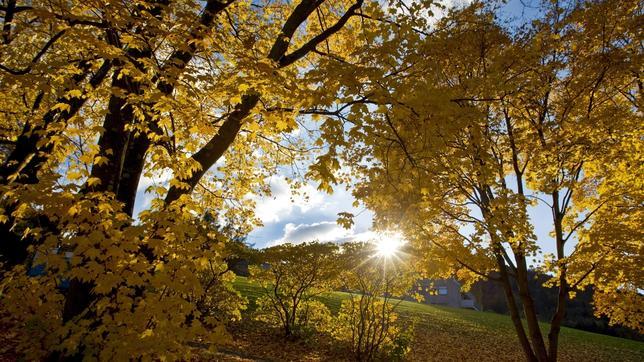 Este otoño se esperan temperaturas superiores a lo usual