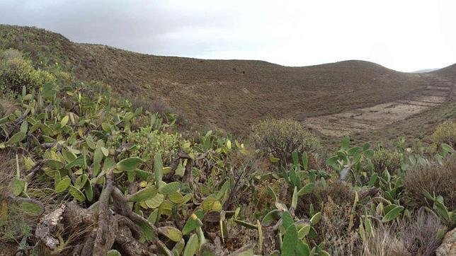 Muere un cazador tras caerle encima una piedra en un barranco de Gran Canaria