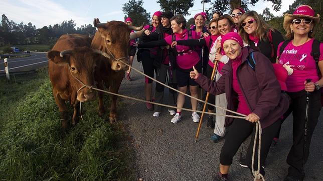 Las pacientes del hospital La Princesa de Madrid, junto a su equipo, en el Camino cerca de Arzúa