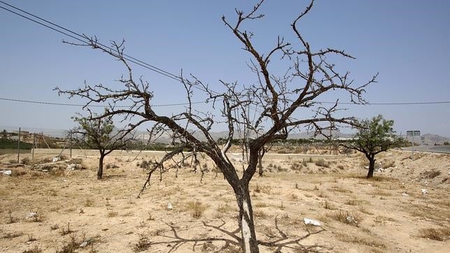 El mayo más seco en 40 años le hace un roto al año hidrológico en España