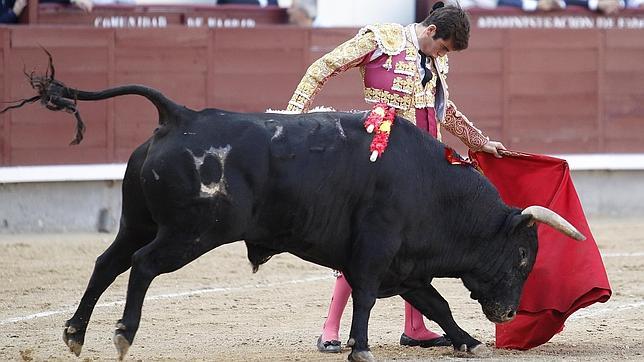 Novillos otoñales en Madrid