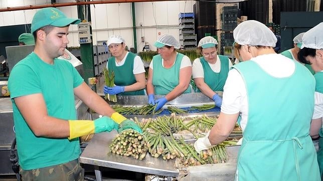 Un 22,2% de los ocupados españoles son «trabajadores pobres»