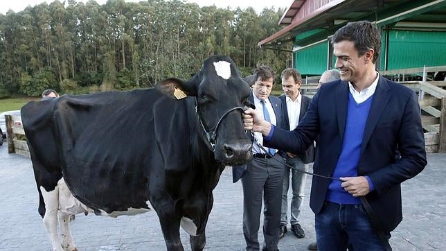 Pedro Sánchez recula y apoya el cupo vasco para apaciguar al PSOE y al PNV