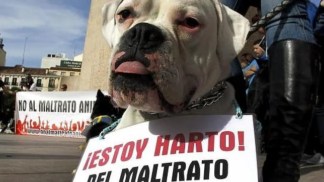 Imagen de archivo de una manifestación contra el maltrato animal en Madrid