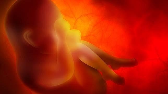 La clave del tratamiento del cáncer puede estar en la placenta