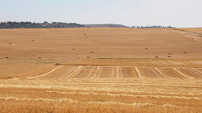 Economía con nombre de mujer