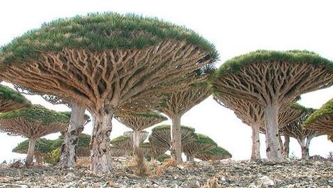 La inquietante «isla alienígena» perdida en mitad del océano Índico