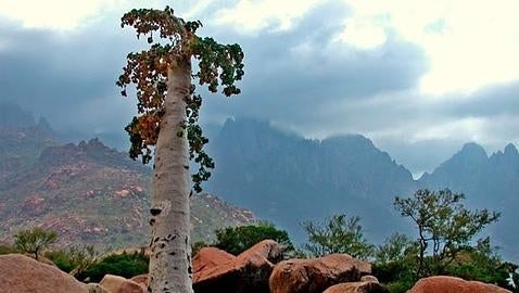 La inquietante «isla alienígena» perdida en mitad del océano Índico