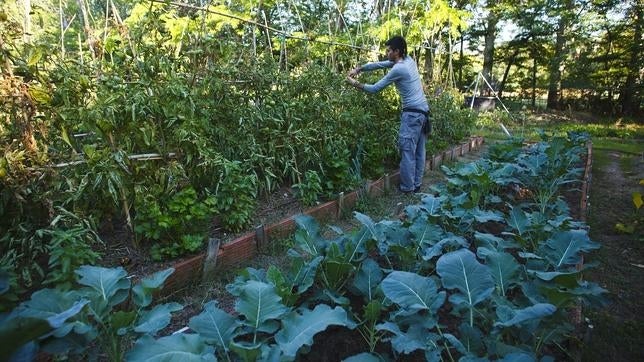 El negocio de la alimentación ecológica se dispara en España