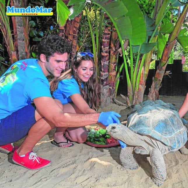 Cultura desde Japón a Las CigarrerasUn oasis verde y marino sin salir de Benidorm