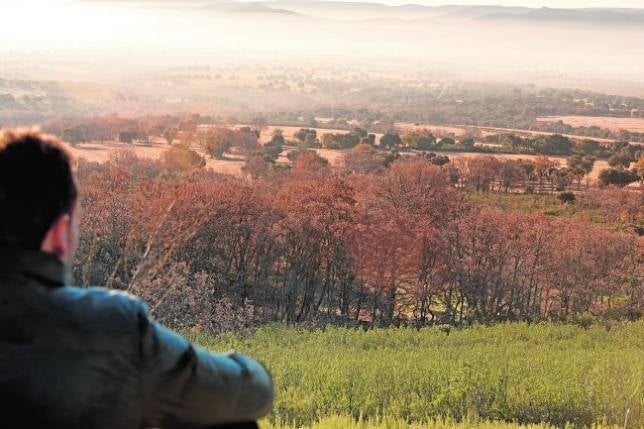 Paseo literario por los Montes de Toledo