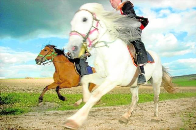 Una historia de reyes, arrieros y caballos