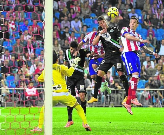 El Córdoba despierta a la fiera del Atlético