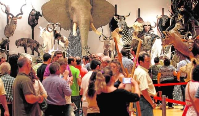 Los negocios de taxidermia se disparan en Córdoba en los últimos cinco años