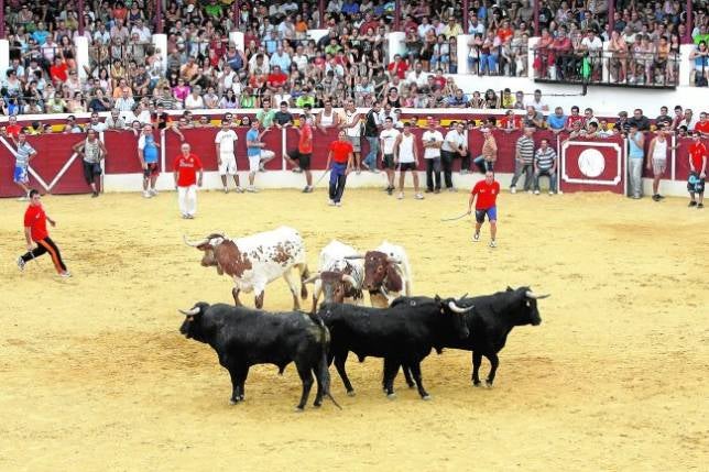 Petanca, parque acuático y carreraHegemonía taurina en las Fiestas de San Bartolomé