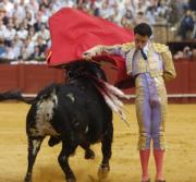 La mina de Matías Tejela