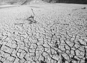 La Junta planteará limitar el regadío a partir de febrero si no llueve este otoño