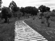 La segunda fase del Corredor Verde, en marcha