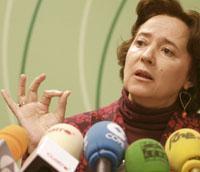 Las VPO podrán revalorizarse en el mercado hasta un 200% sobre el precio inicial