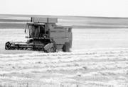 Hasta 35.000 agricultores se integrarán en el Régimen de Trabajadores Autónomos