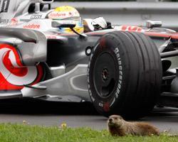 Hamilton logra el mejor tiempo en los entrenamientos libres en el GP de Canadá