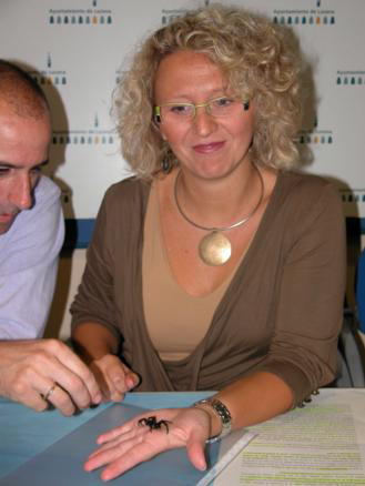 Las arañas se instalan en casa