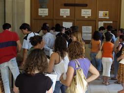La Universidad de Sevilla oferta 15.233 plazas para el próximo curso