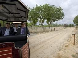 En otoño estará lista la primera fase de ampliación del Parque Alamillo