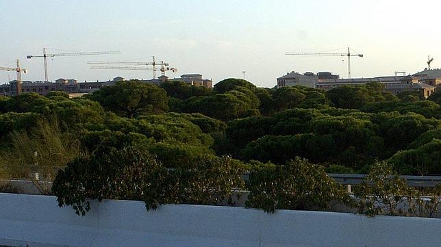 Punta Umbría, discordia hotelera