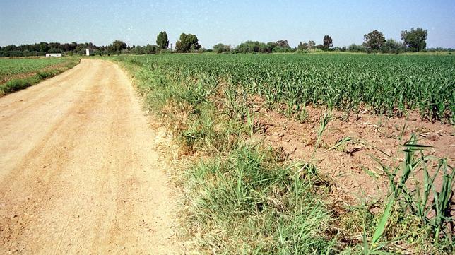 Alertan que los delitos con violencia en el medio rural crecerán en 2011