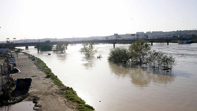 La Junta no espera nuevas inundaciones, con el río Guadalquivir estable