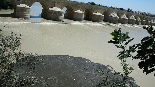 Guadalquivir, un río de impactos