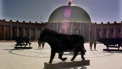 La falta de patrocinio apuntilla la Feria del Toro