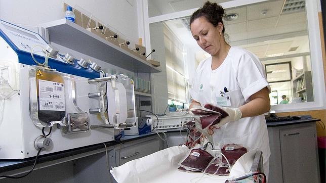 La sangre, más necesaria aún en verano
