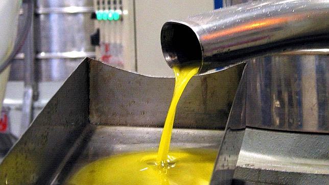 Científicos sevillanos desarrollan un aceite de oliva terapéutico