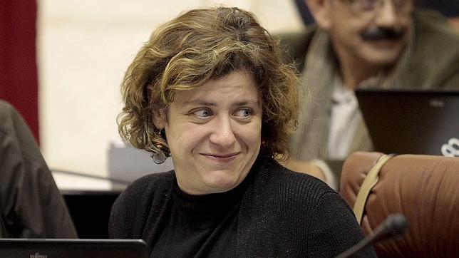 IU dice que «cada palo aguante su vela» en las responsabilidades políticas