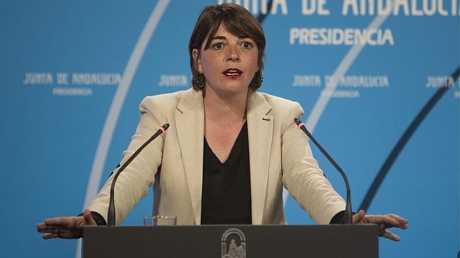 La consejera Elena Cortés, durante una rueda de prensa