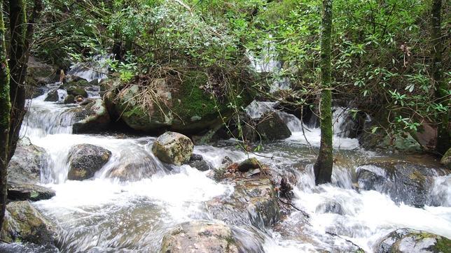 El río Guadalete ofrece parajes de gran belleza para los amantes de la naturaleza que visiten Grazalema