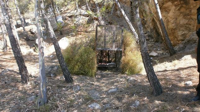 ¿Una pantera suelta en el parque de Castala?