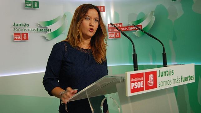 El PSOE dice que no se esperaba la detención del exalto cargo de Diputación