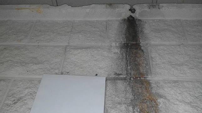 Denuncian que funcionarios de un juzgado enferman por la falta de limpieza y mantenimiento