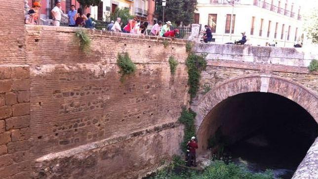 Rescatan a un hombre ebrio en el río Darro de Granada, junto a la Alhambra