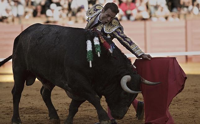 Antonio Ferrera, mejor faena de la Feria de Abril para la Real Maestranza